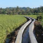 Infrastruktur-pendukung-pertanian-memiliki-peran-vital-untuk-mewujudkan-desa-mandiri-pangan.